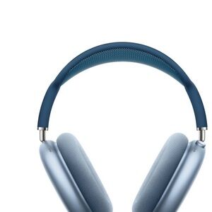 Apple Over-Ear Headphones - Blue and Silver